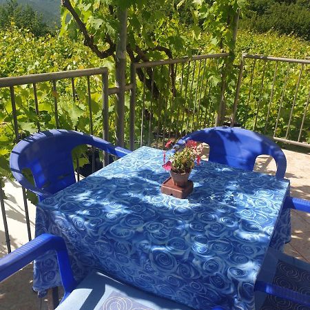 Mijailovic Apartmani Kaluđerac Esterno foto