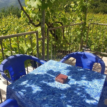 Mijailovic Apartmani Kaluđerac Esterno foto