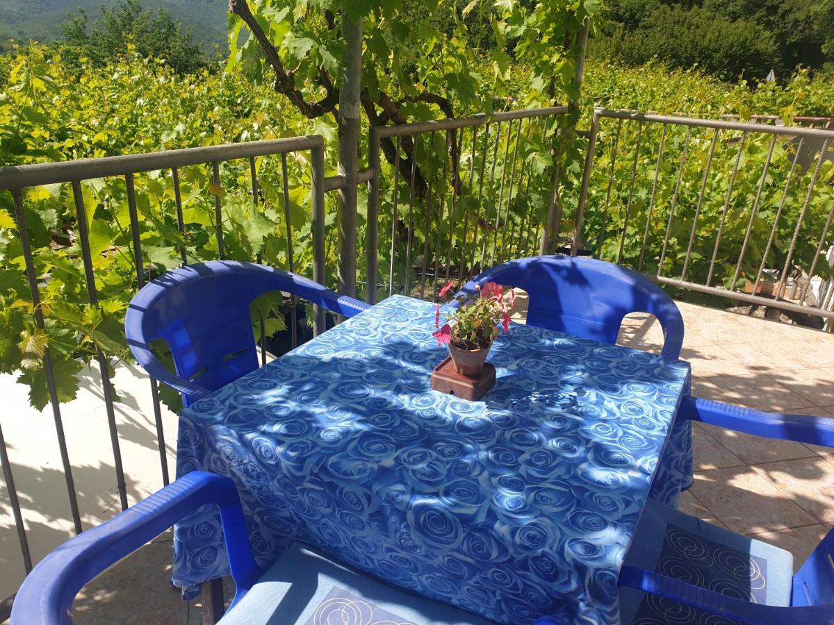 Mijailovic Apartmani Kaluđerac Esterno foto