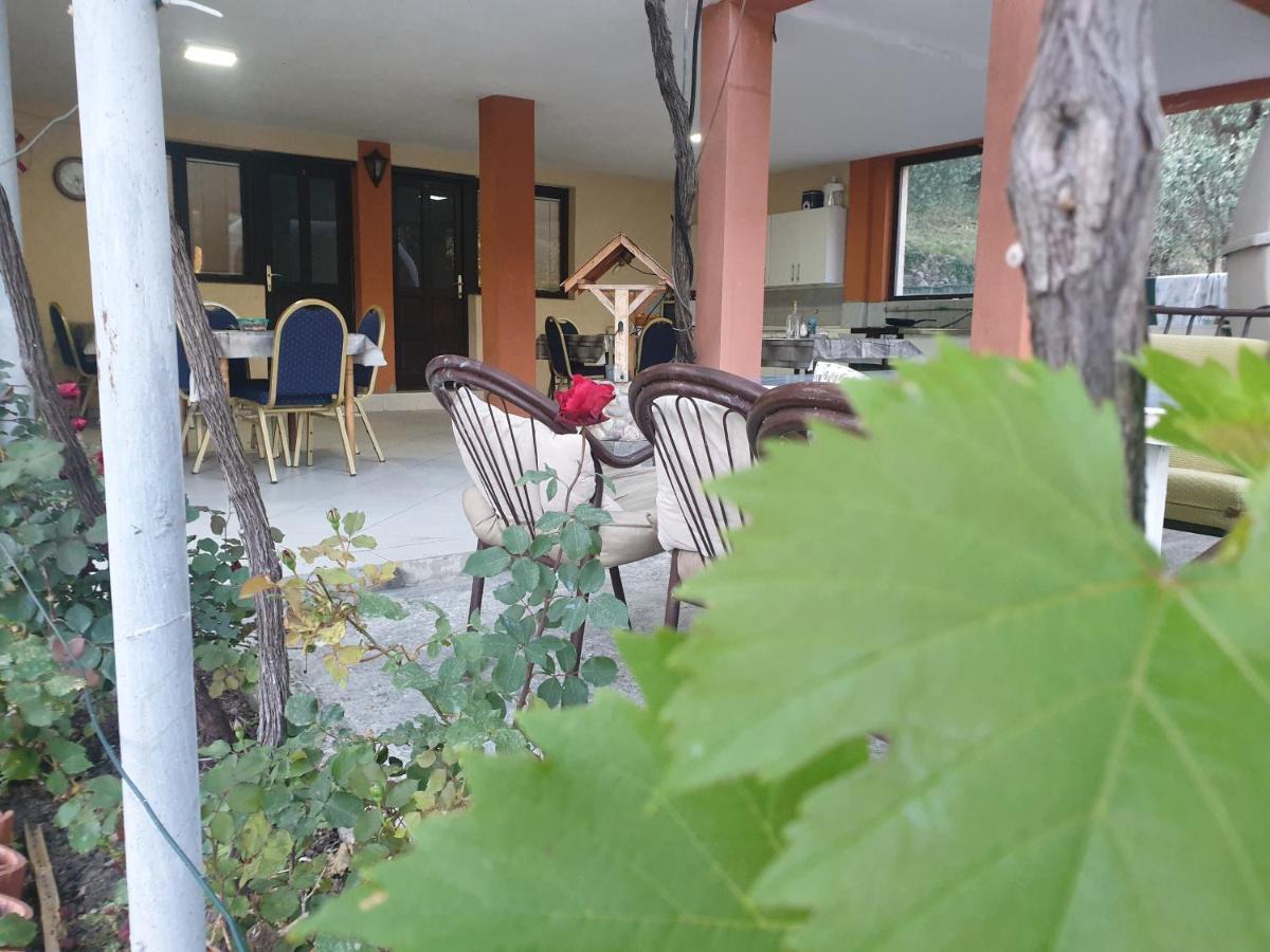 Mijailovic Apartmani Kaluđerac Esterno foto