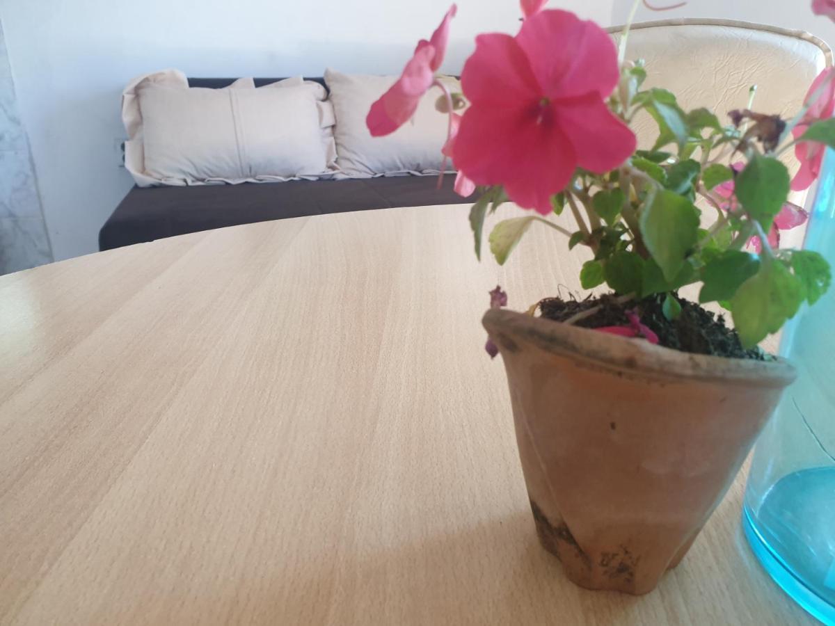 Mijailovic Apartmani Kaluđerac Esterno foto